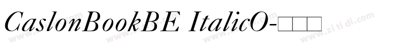 CaslonBookBE ItalicO字体转换